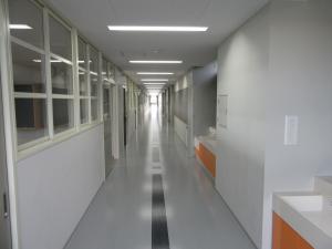 新校舎廊下