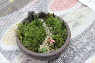 苔盆栽 私だけの小さな自然 が行われました 上尾市webサイト