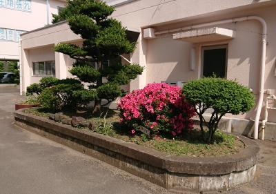 学校園