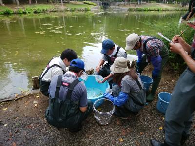 生き物の仕分けの様子