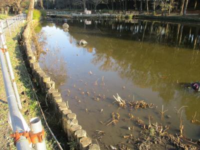 作業後の浅場の様子