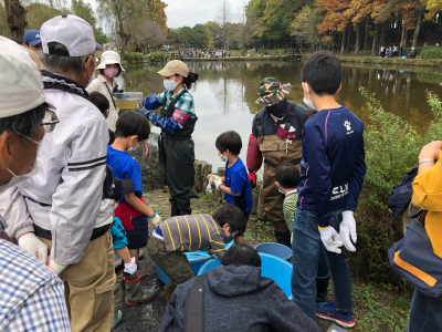 みんなで水辺守のアメリカザリガニの駆除作業の様子