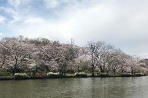 上尾丸山公園 上尾市webサイト