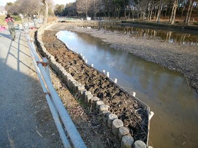 植え付け作業をしたあとの浅場