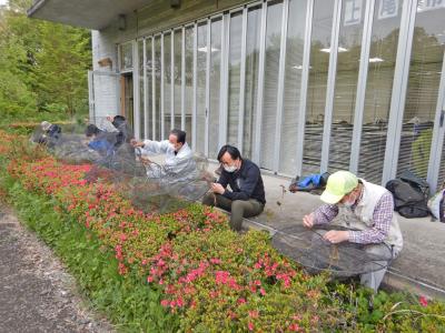 上尾水辺守のみんなでワナの穴をふさぎました