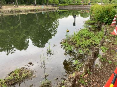 微地形のある大池南の浅場