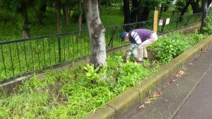 除草作業１