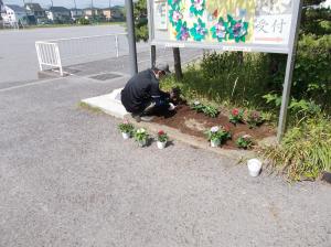 花を植えたよ２