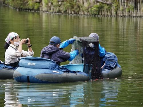 フローターに乗って張網にかかった生き物を回収します