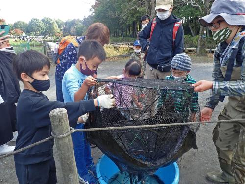 捕獲罠の作業の様子