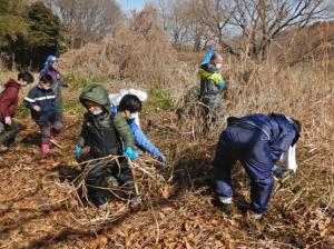 最初の作業は湿地の草取りです