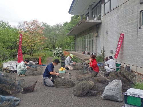 外来種駆除用の罠の組み立て作業