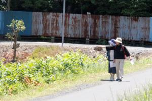 荒川沿いを歩く参加者