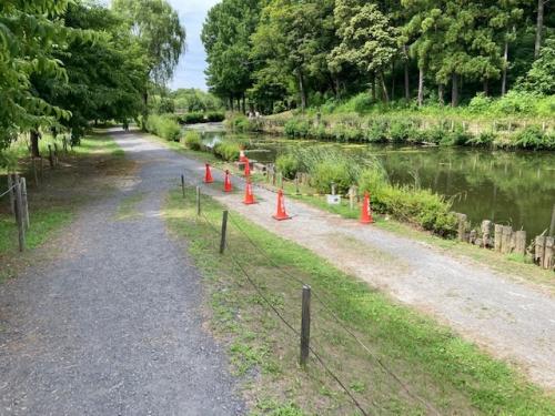 カイツブリに配慮して園路側を仕切りましたので、ご協力をお願いします。