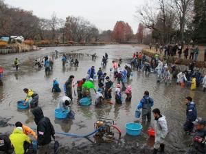 上尾丸山公園大かいぼり祭の様子