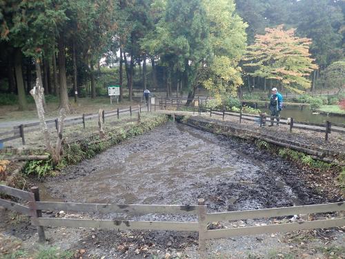 作業の湿地の様子。湧水が全体にいきわたり、ヒタヒナな湿地になりました。