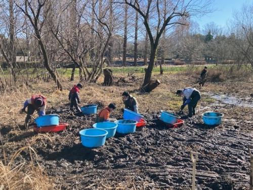 みんなで湿地の泥ほり作業中