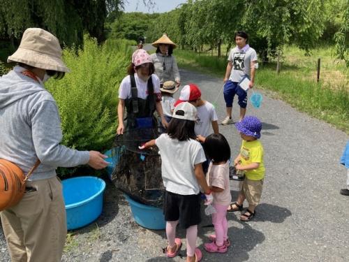 みんなで水辺守の作業の様子