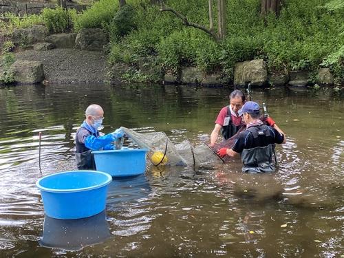 定置網で水生生物を捕獲します