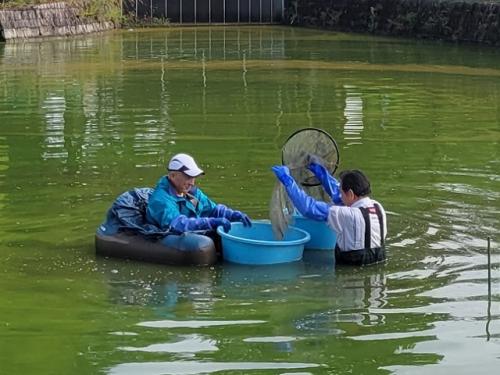 2人で協力して、張網の生物を回収します