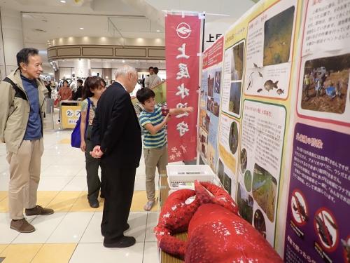 上尾市環境推進大会のパネル展示