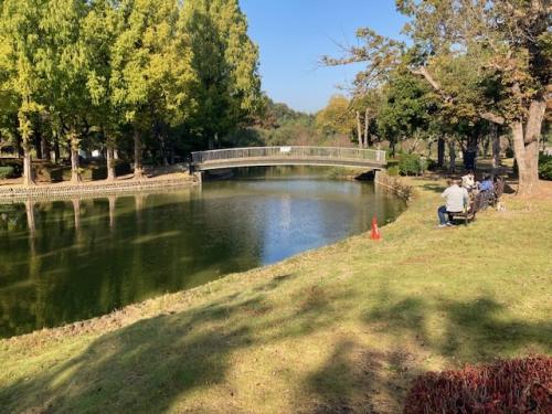 上尾丸山公園の大池の状況