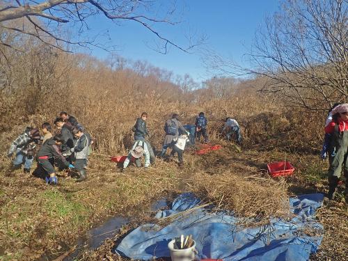 みんなで協力して草とり作業。湿地なので所々ぬかるみもあります。