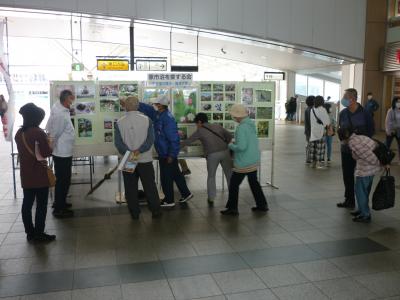 上尾駅自由通路環境パネル展