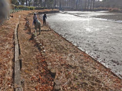 作業前の浅場