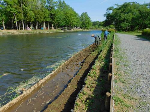 浅場が水につかるように泥を掘りました
