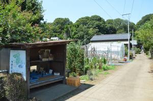 内田栄作農園