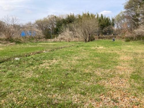 湿地保全エリアを江川に向かって横断する素掘りの水路