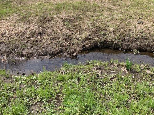 水路は自然な小川です