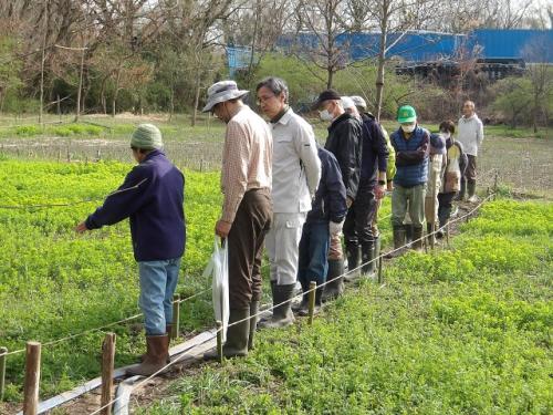 園路をとおってトラスト地の観察を行いました