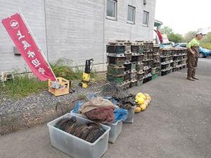 設置された罠たちです