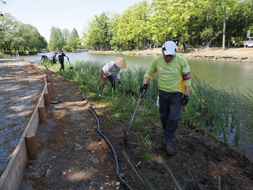 浅場をよい湿地環境にするために、高さを調整しました