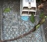 メーターボックス上に物を置かない