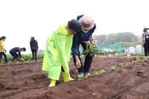 確認しながら植え付けする親子