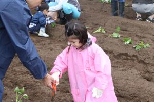 器具を持った子供
