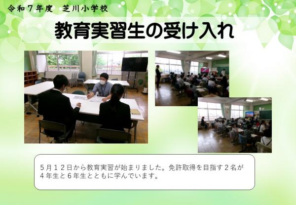 教育実習生