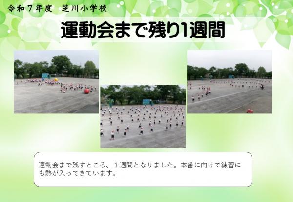 運動会