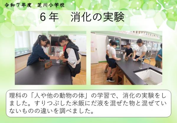 6年　理科