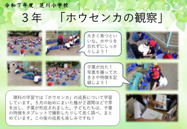 3年　理科