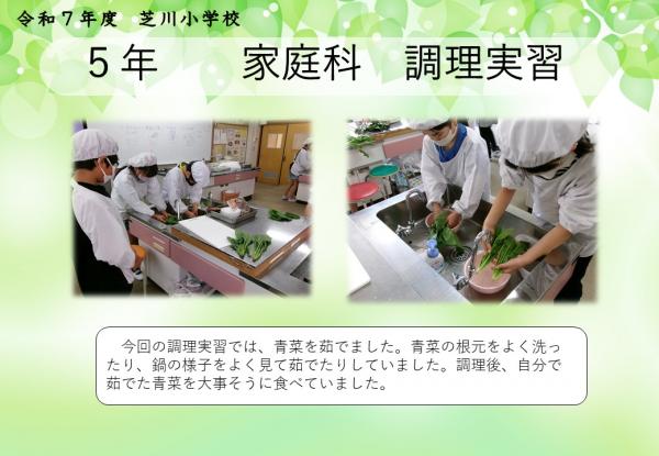 5年　家庭科