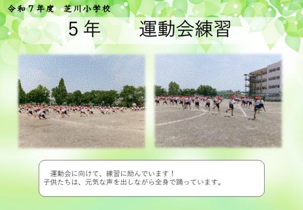 5年　運動会