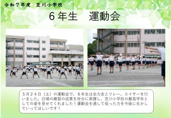 6年生　運動会