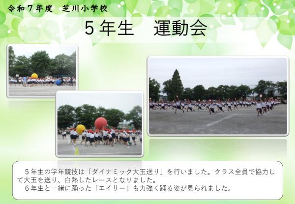 5年生　運動会