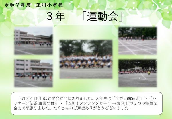 3年　運動会