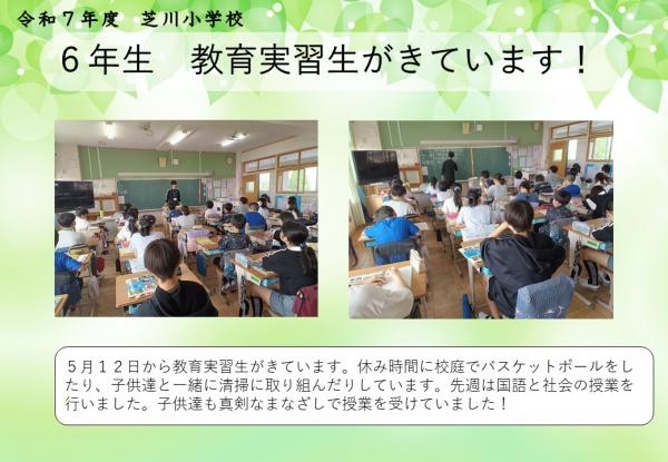 6年　教育実習生