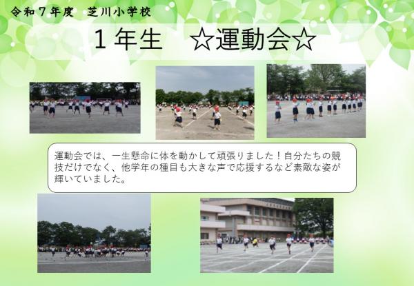 1年　運動会